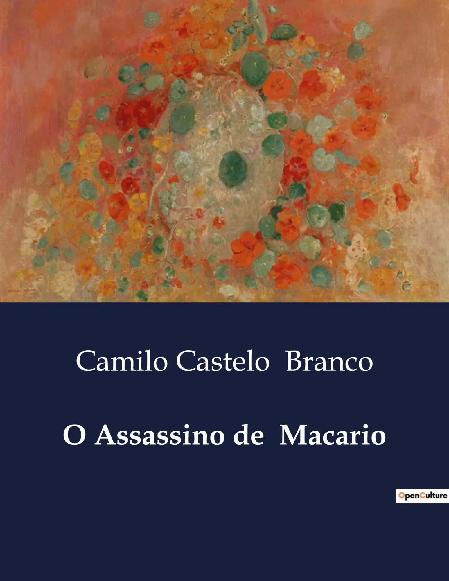 Cover: 9791043109928 | O Assassino de Macario | Uma comédia de enganos e vingança no Porto
