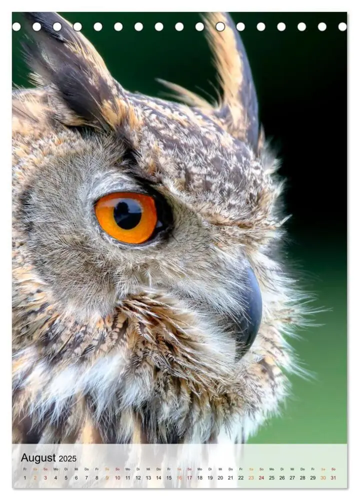 Bild: 9783435930029 | Vögel - gefiederte Freunde in unserer Natur (Tischkalender 2025 DIN...