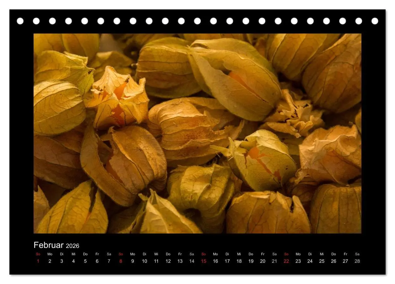 Bild: 9783516110029 | essbar - Buntes Obst und Gemüse (Tischkalender 2026 DIN A5 quer),...
