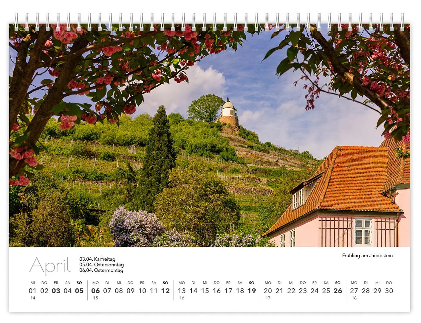 Bild: 9783910680029 | Radebeul kompakt 2026 | 21 x 15 cm weißes Kalendarium | Peter Schubert