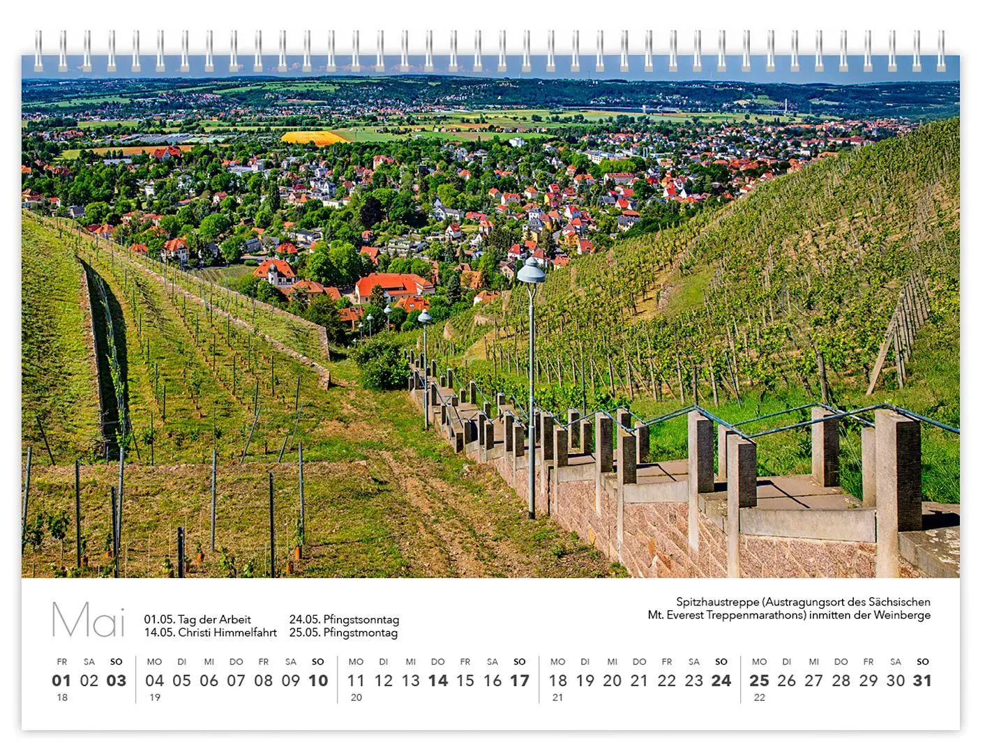 Bild: 9783910680029 | Radebeul kompakt 2026 | 21 x 15 cm weißes Kalendarium | Peter Schubert