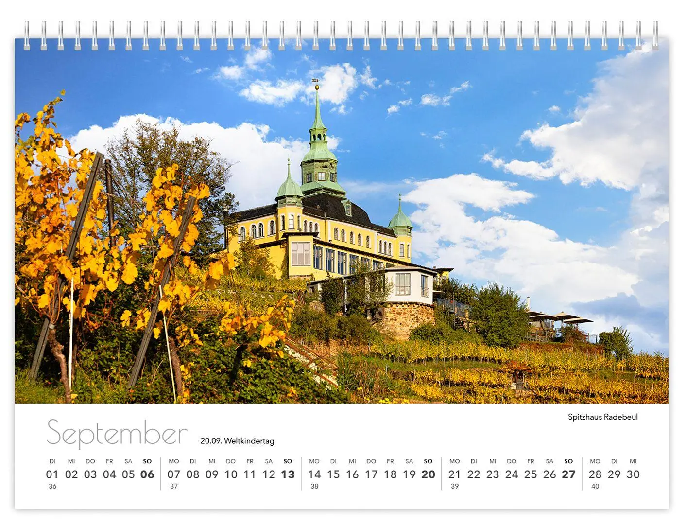 Bild: 9783910680029 | Radebeul kompakt 2026 | 21 x 15 cm weißes Kalendarium | Peter Schubert