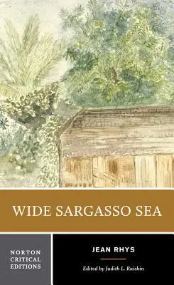 Cover: 9780393960129 | Wide Sargasso Sea | A Norton Critical Edition | Jean Rhys | Buch