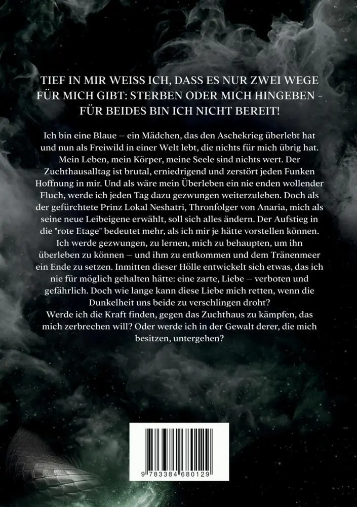 Bild: 9783384680129 | Oley - Asche &amp; Tränen (Die Tränenmeer-Saga 1 Dark Fantasy Roman)