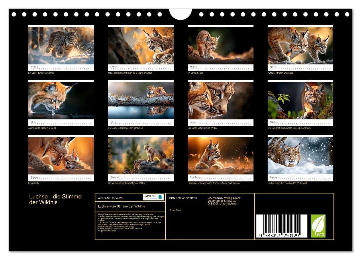 Bild: 9783457250129 | Luchse - die Stimme der Wildnis (Wandkalender 2026 DIN A4 quer),...