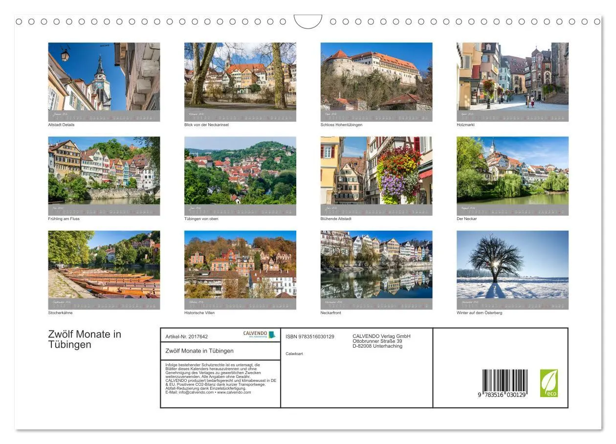 Bild: 9783516030129 | Zwölf Monate in Tübingen (Wandkalender 2026 DIN A3 quer), CALVENDO...