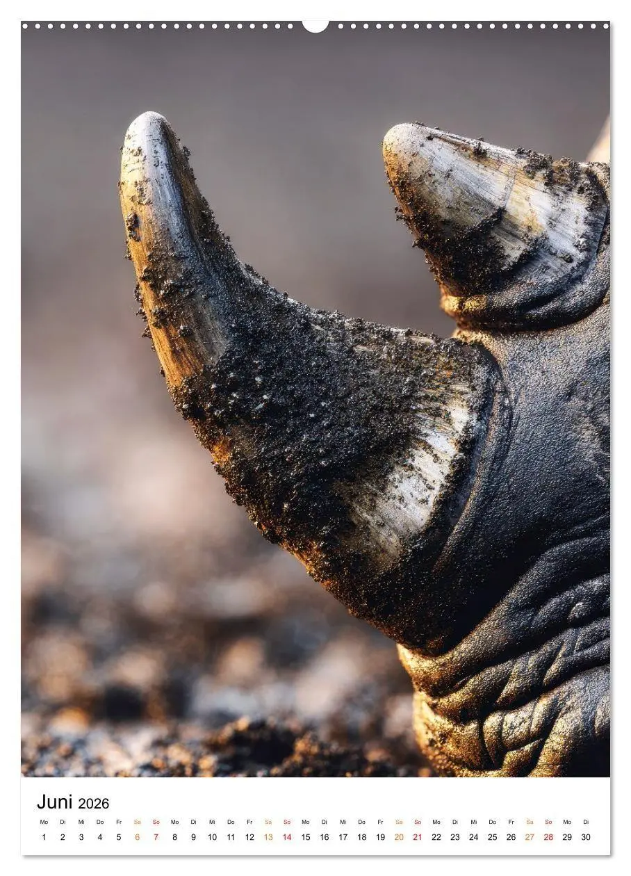 Bild: 9783516720129 | Nashorn - Stark. Stur. Schnell. (hochwertiger Premium Wandkalender...