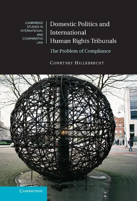 Cover: 9781107040229 | Domestic Politics and International Human Rights Tribunals | Buch