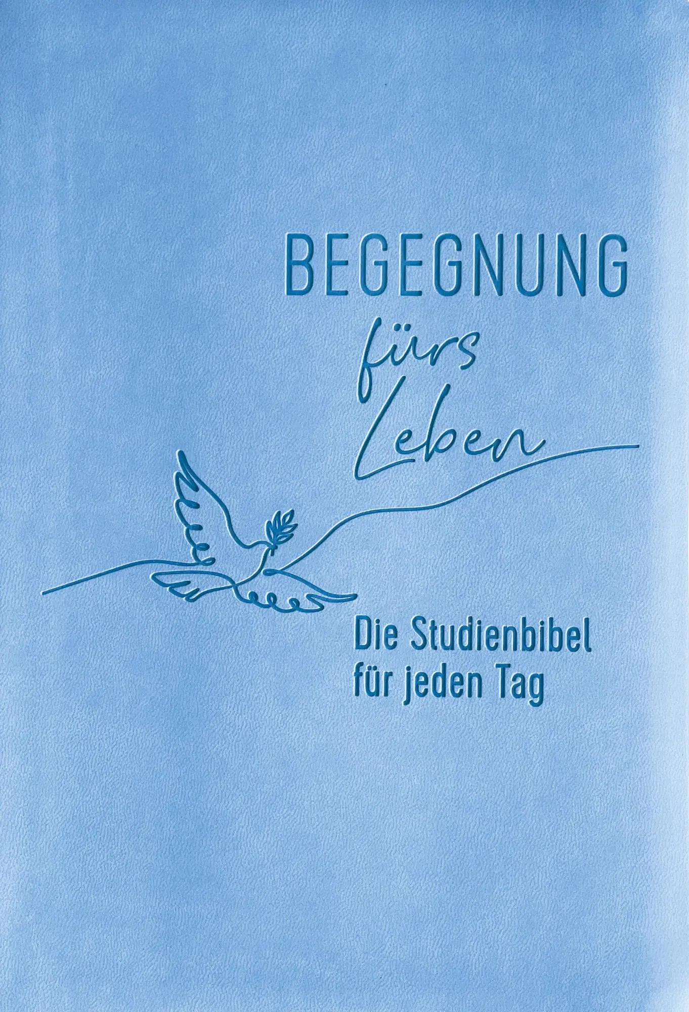 Cover: 9783417020229 | Begegnung fürs Leben, Kunstleder | Die Studienbibel für jeden Tag