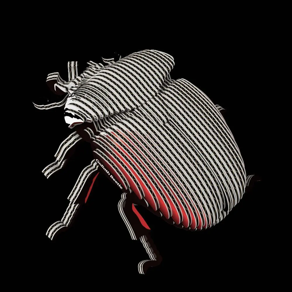 Bild: 9421036940329 | EUGY - 3D Bastelset Goliathkäfer | Kit (Bastelset) | In Karton | 2026
