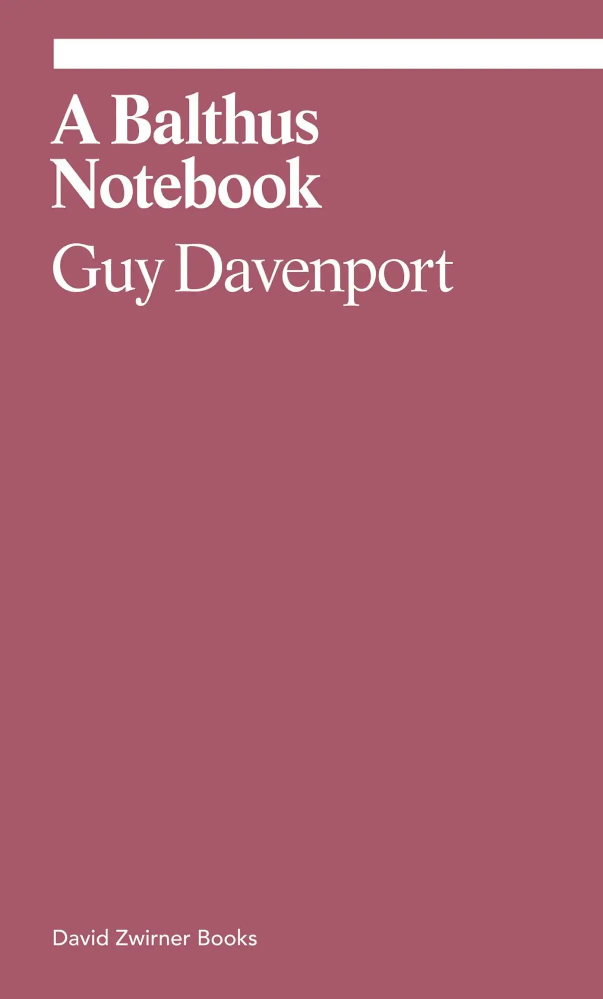 Cover: 9781644230329 | A Balthus Notebook | Guy Davenport | Taschenbuch | Englisch | 2020