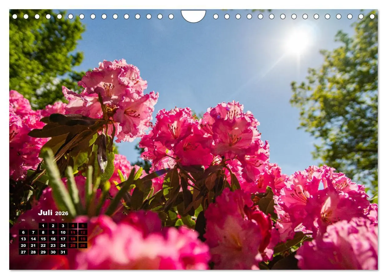 Bild: 9783457610329 | Bremen Fotokalender 2026 (Wandkalender 2026 DIN A4 quer), CALVENDO...