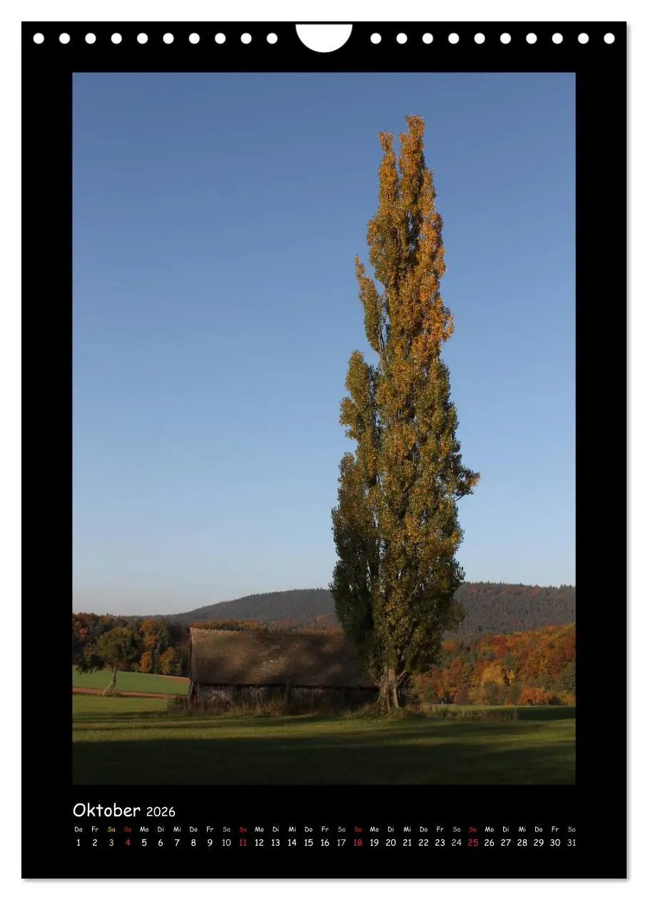 Bild: 9783516480429 | Odenwald &amp; Bergstraße (Wandkalender 2026 DIN A4 hoch), CALVENDO...