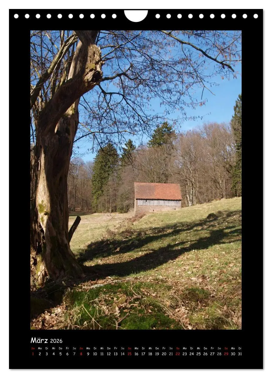 Bild: 9783516480429 | Odenwald &amp; Bergstraße (Wandkalender 2026 DIN A4 hoch), CALVENDO...