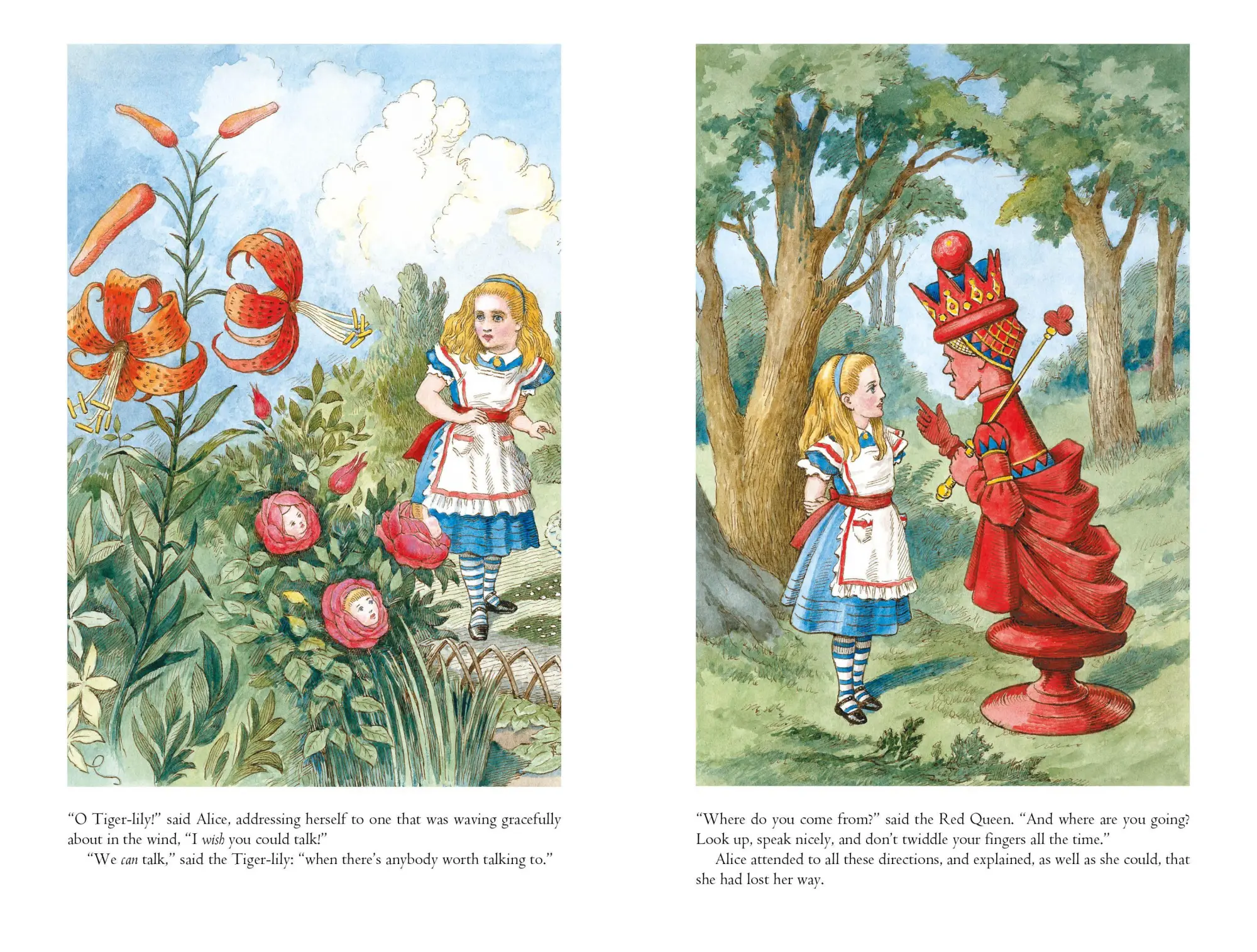 Bild: 9781035050529 | Through the Looking-Glass | Lewis Carroll | Buch | 224 S. | Englisch