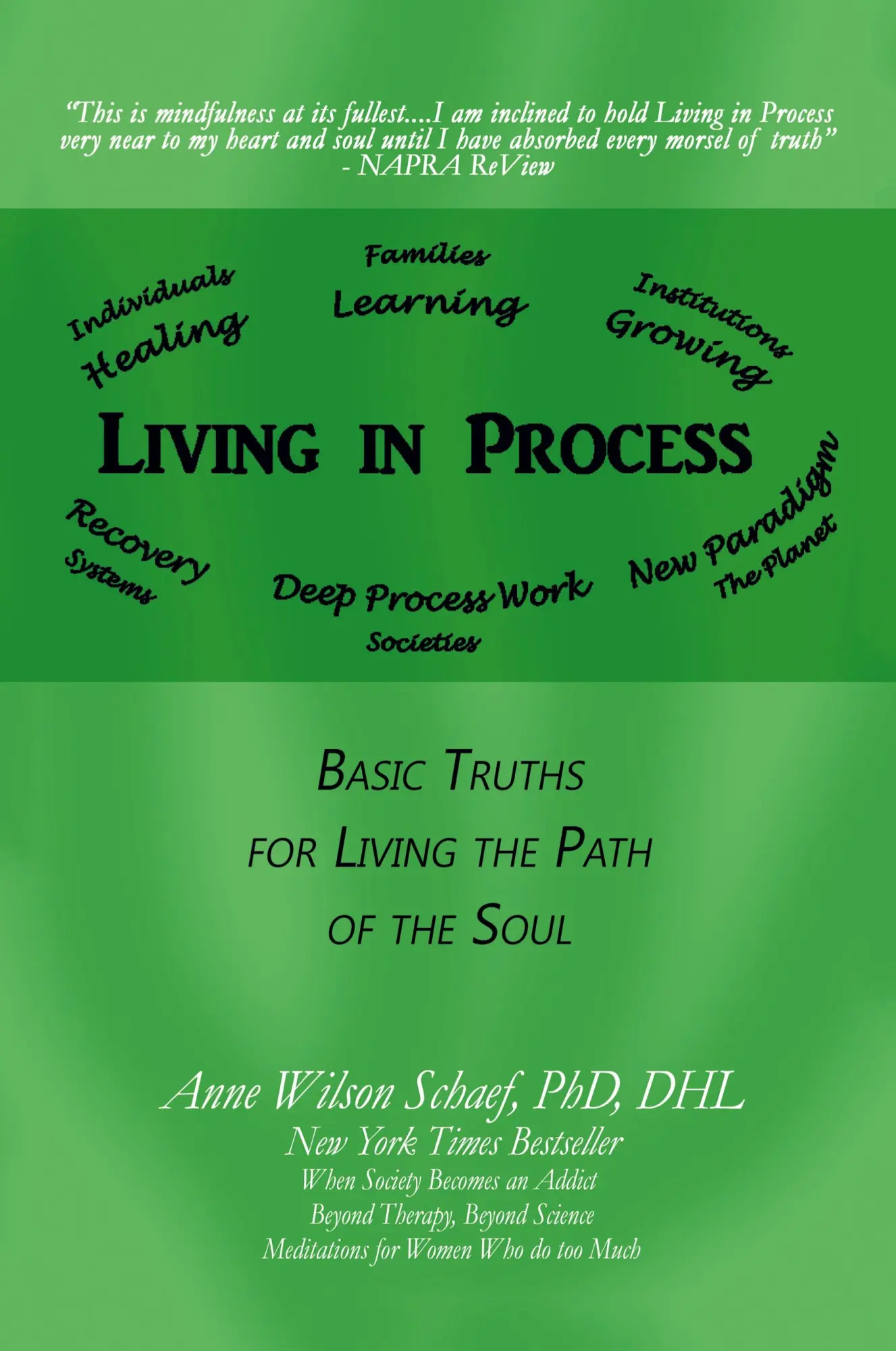 Cover: 9781532030529 | Living in Process | Basic Truths for Living the Path of the Soul