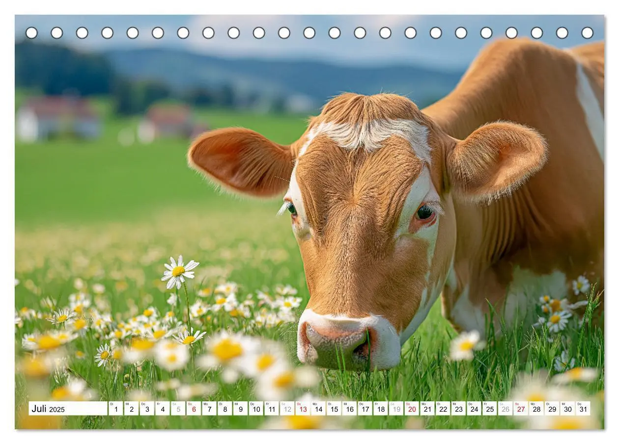Bild: 9783457210529 | KÜHE AUF DER ALM - Der Kalender aus Bayern (Tischkalender 2025 DIN...