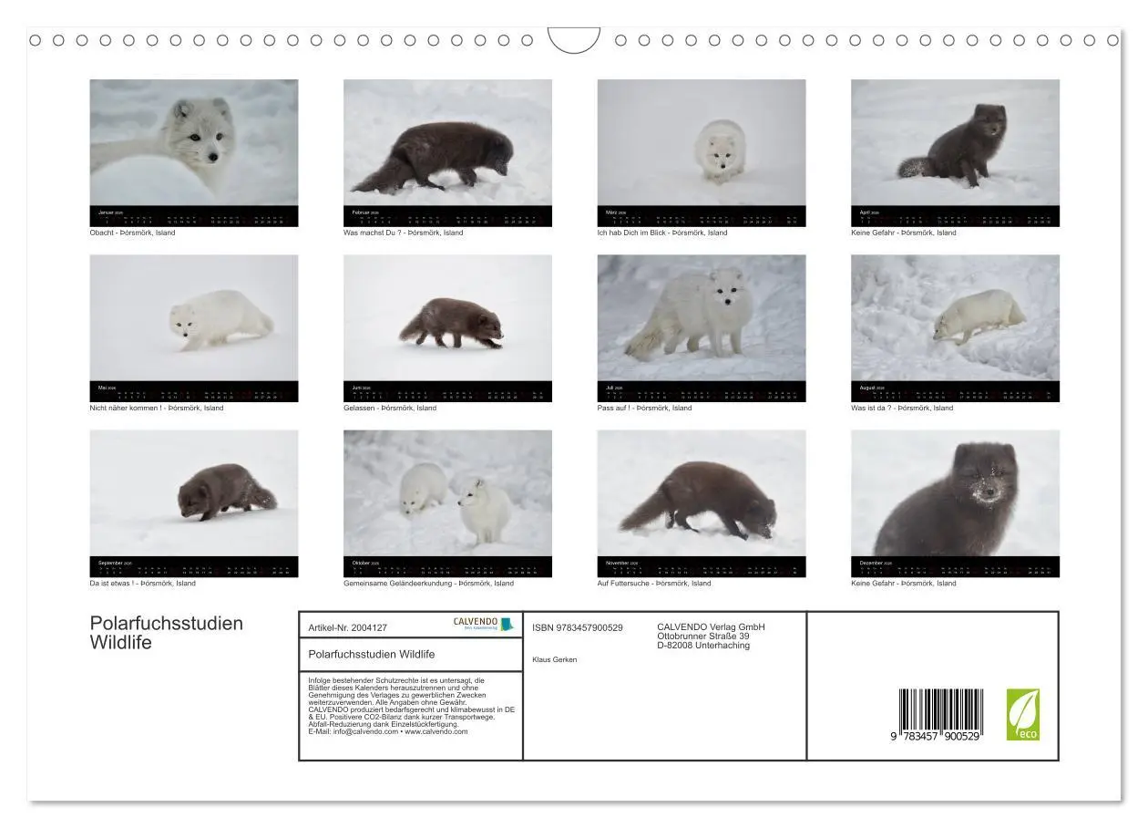 Bild: 9783457900529 | Polarfuchsstudien Wildlife (Wandkalender 2026 DIN A3 quer),...