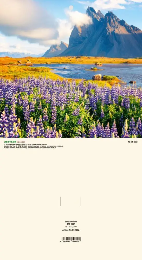 Cover: 4069095000629 | ZETTLER Bildrückwände für Typ 302, 304, 305 Natur sortiert | Kalender