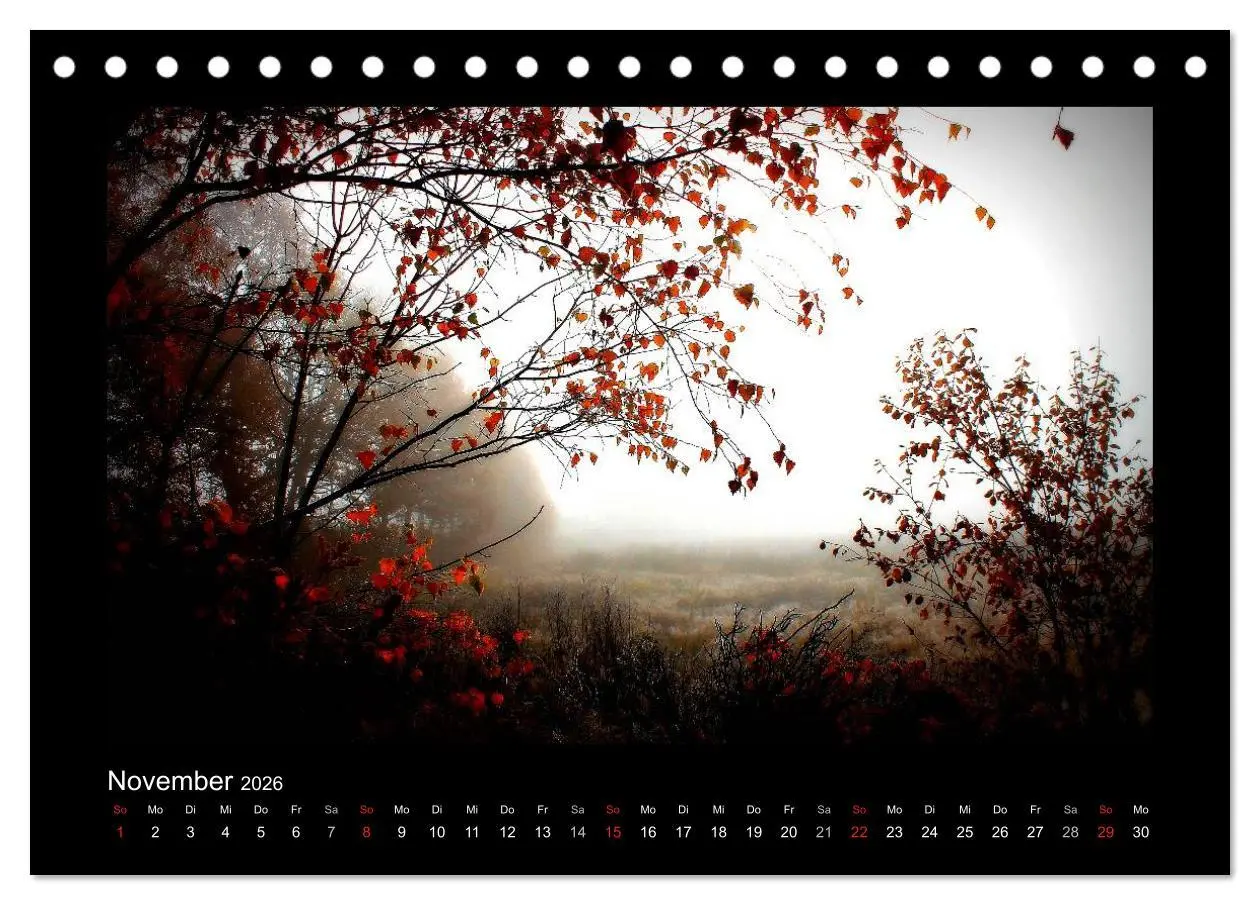 Bild: 9783516220629 | Landschaft Teufelsmoor / 2026 (Tischkalender 2026 DIN A5 quer),...