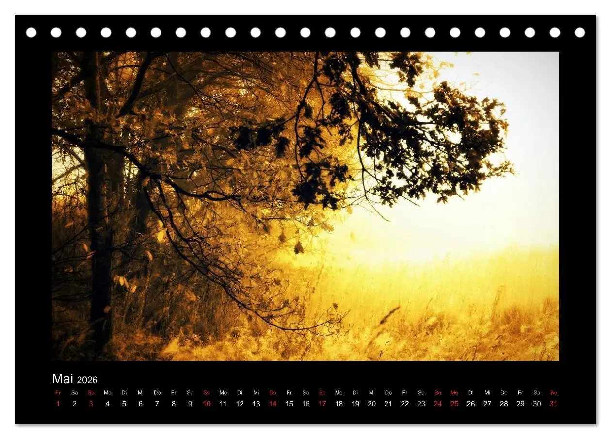 Bild: 9783516220629 | Landschaft Teufelsmoor / 2026 (Tischkalender 2026 DIN A5 quer),...