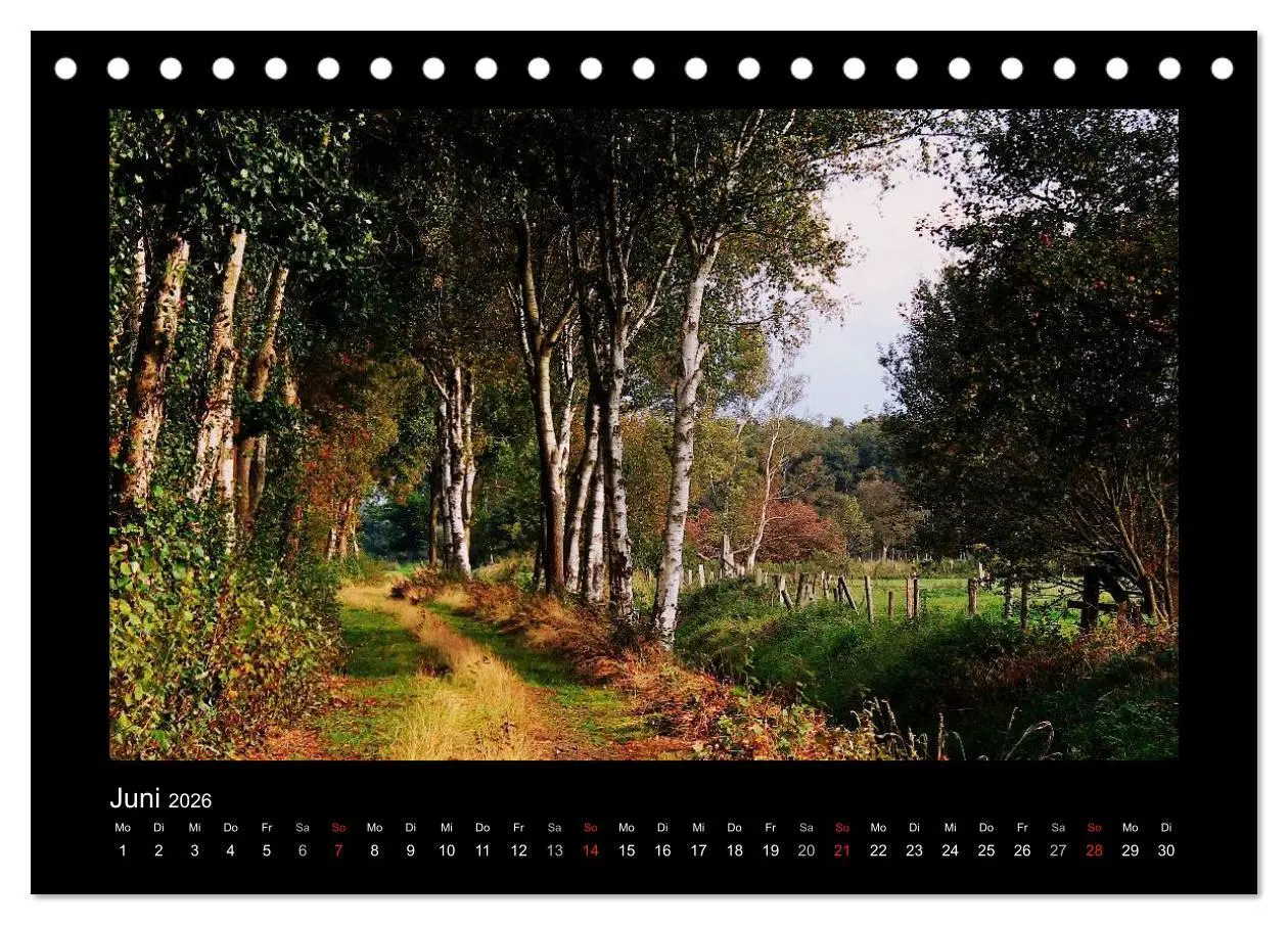 Bild: 9783516220629 | Landschaft Teufelsmoor / 2026 (Tischkalender 2026 DIN A5 quer),...