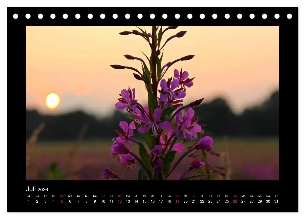 Bild: 9783516220629 | Landschaft Teufelsmoor / 2026 (Tischkalender 2026 DIN A5 quer),...