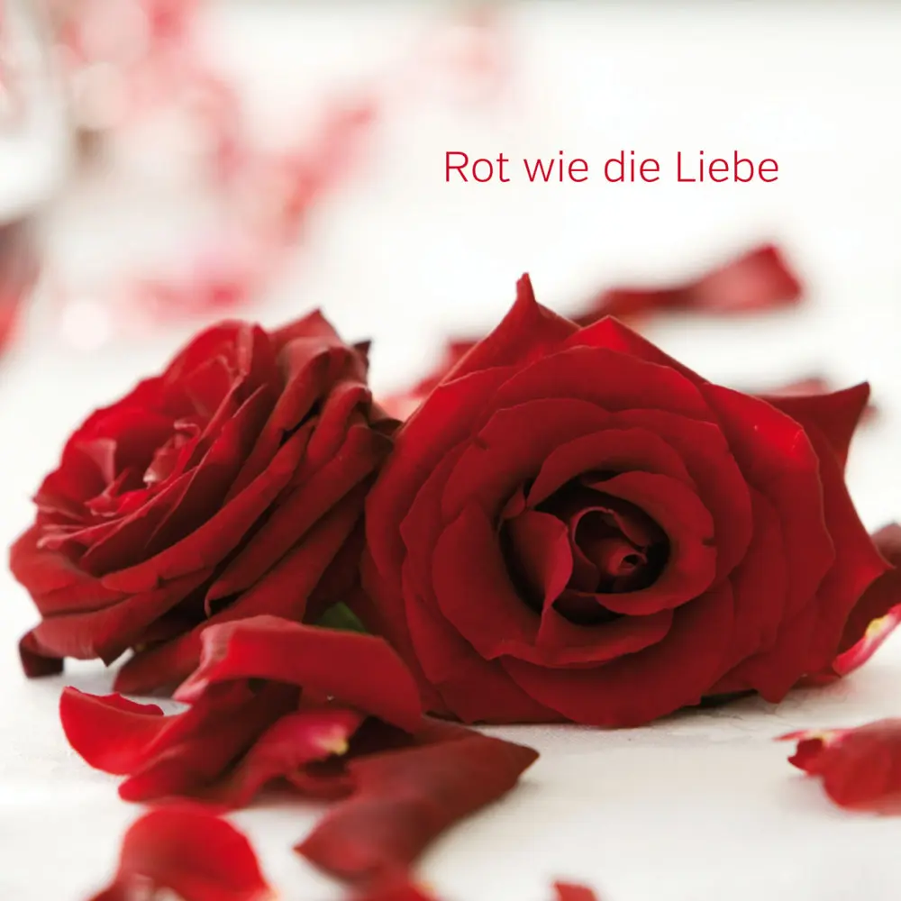 Bild: 4027537000729 | Gute Laune Block - Lustige Zitrone | Christine Paxmann | Taschenbuch