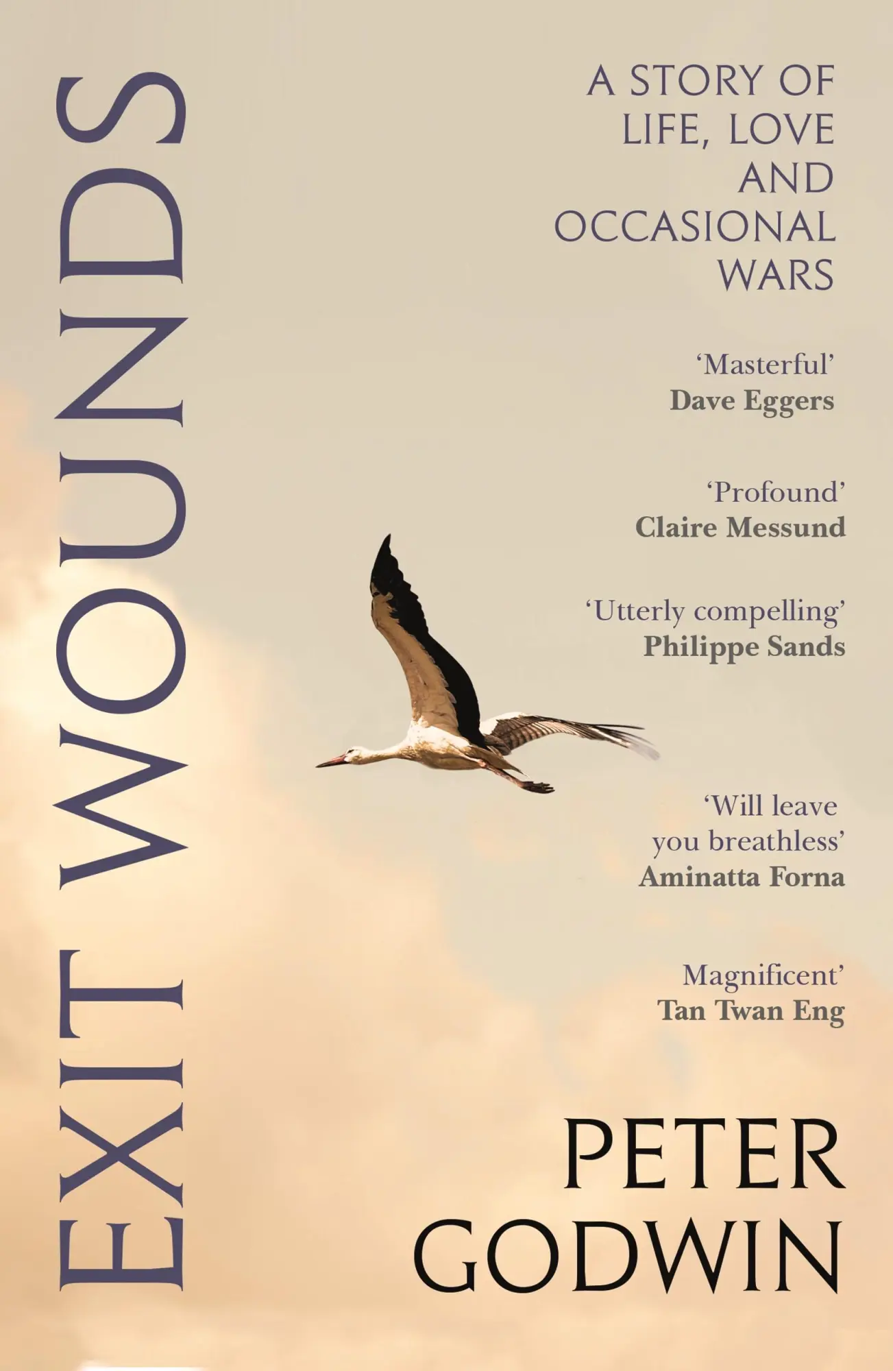 Cover: 9781837260829 | Exit Wounds | A Story of Love, Loss and Occasional Wars | Peter Godwin