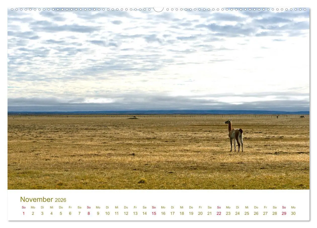 Bild: 9783457730829 | Weites Argentinien (hochwertiger Premium Wandkalender 2026 DIN A2...