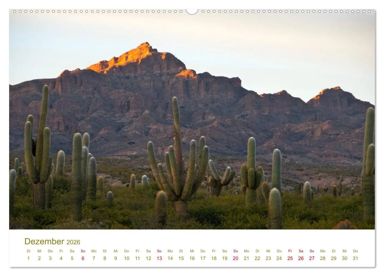Bild: 9783457730829 | Weites Argentinien (hochwertiger Premium Wandkalender 2026 DIN A2...
