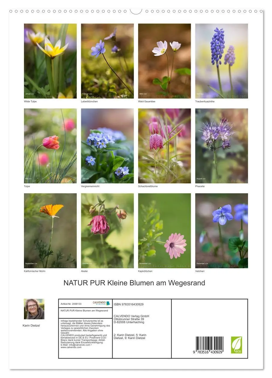 Bild: 9783516430929 | NATUR PUR Kleine Blumen am Wegesrand (hochwertiger Premium...