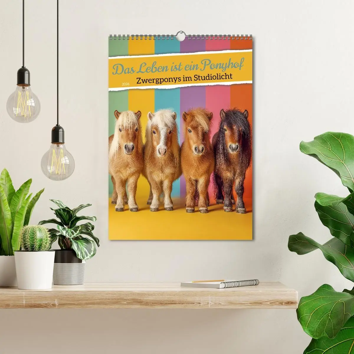 Bild: 9783516670929 | Das Leben ist ein Ponyhof - Zwergponys im Studiolicht (Wandkalender...
