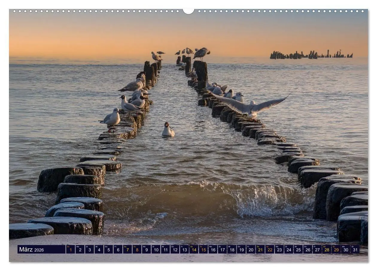 Bild: 9783516740929 | Ostseeträume (hochwertiger Premium Wandkalender 2026 DIN A2 quer),...