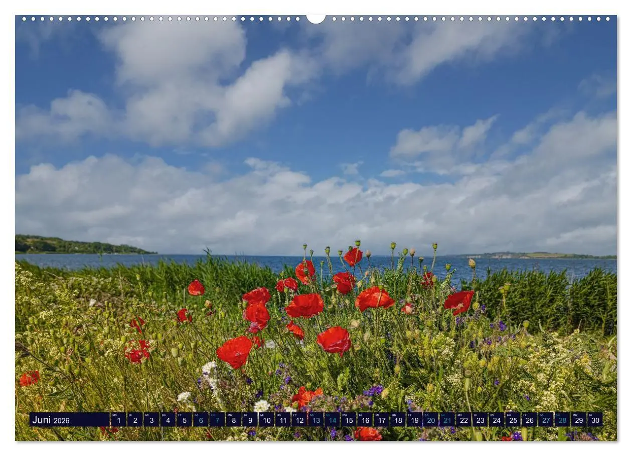 Bild: 9783516740929 | Ostseeträume (hochwertiger Premium Wandkalender 2026 DIN A2 quer),...