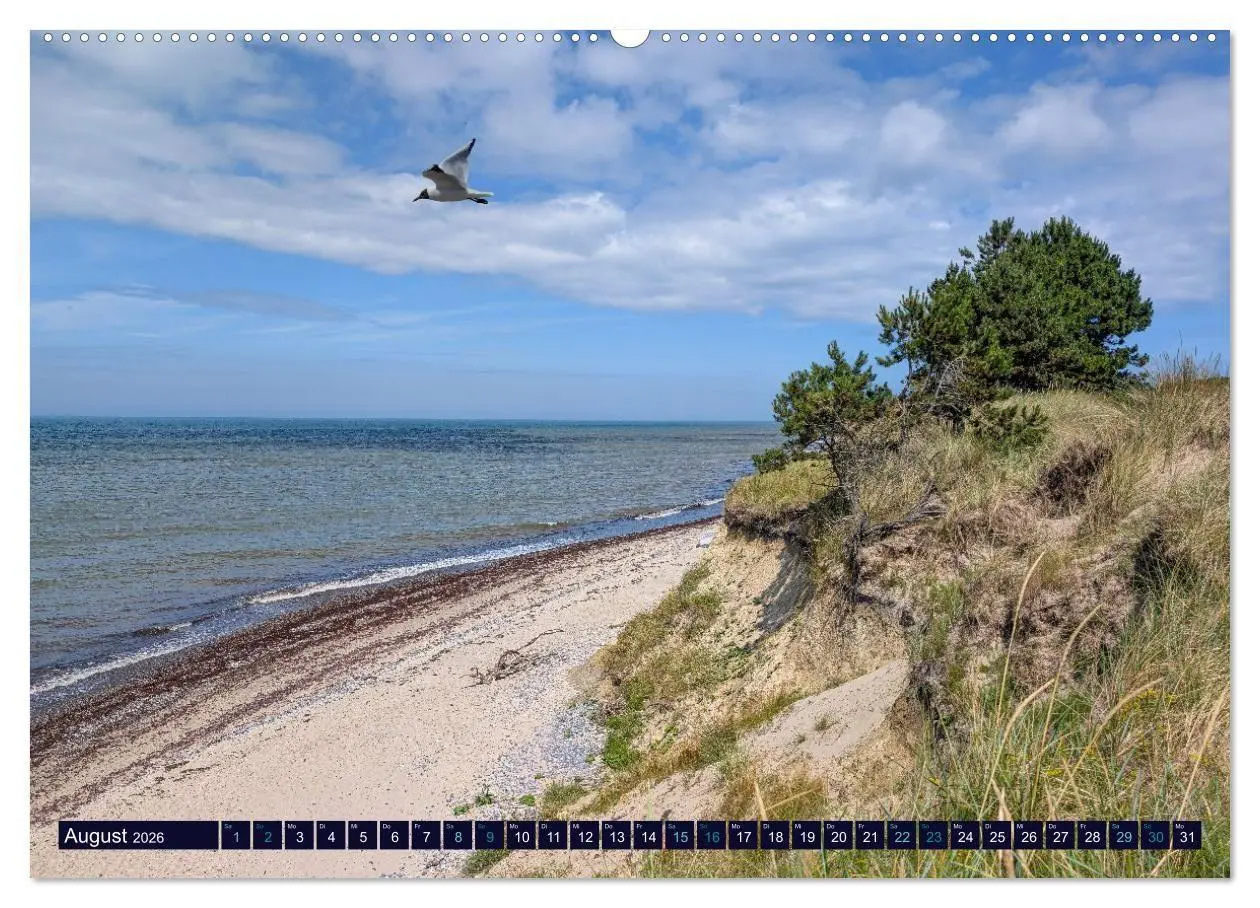 Bild: 9783516740929 | Ostseeträume (hochwertiger Premium Wandkalender 2026 DIN A2 quer),...
