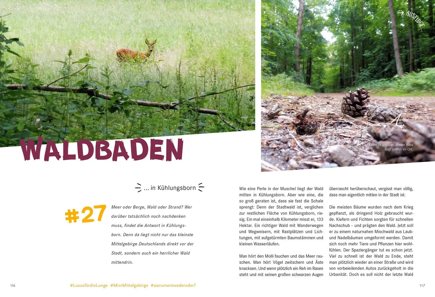 Bild: 9783770180929 | 52 kleine &amp; große Eskapaden in Mecklenburg-Vorpommern an der Ostsee