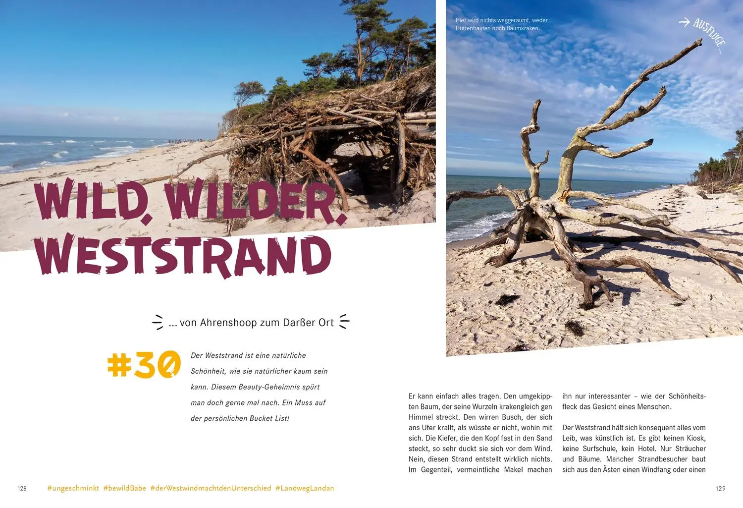 Bild: 9783770180929 | 52 kleine &amp; große Eskapaden in Mecklenburg-Vorpommern an der Ostsee