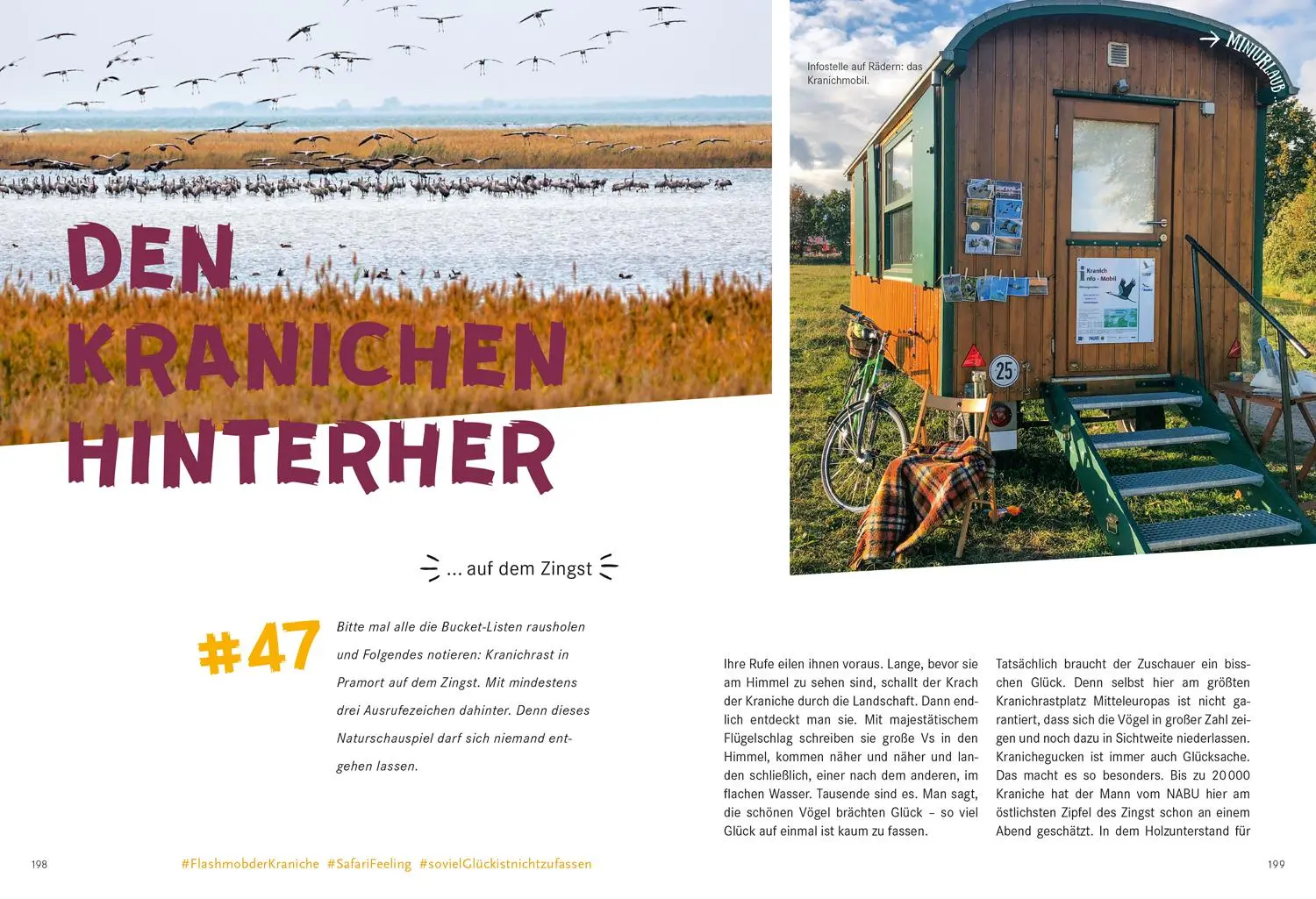 Bild: 9783770180929 | 52 kleine &amp; große Eskapaden in Mecklenburg-Vorpommern an der Ostsee
