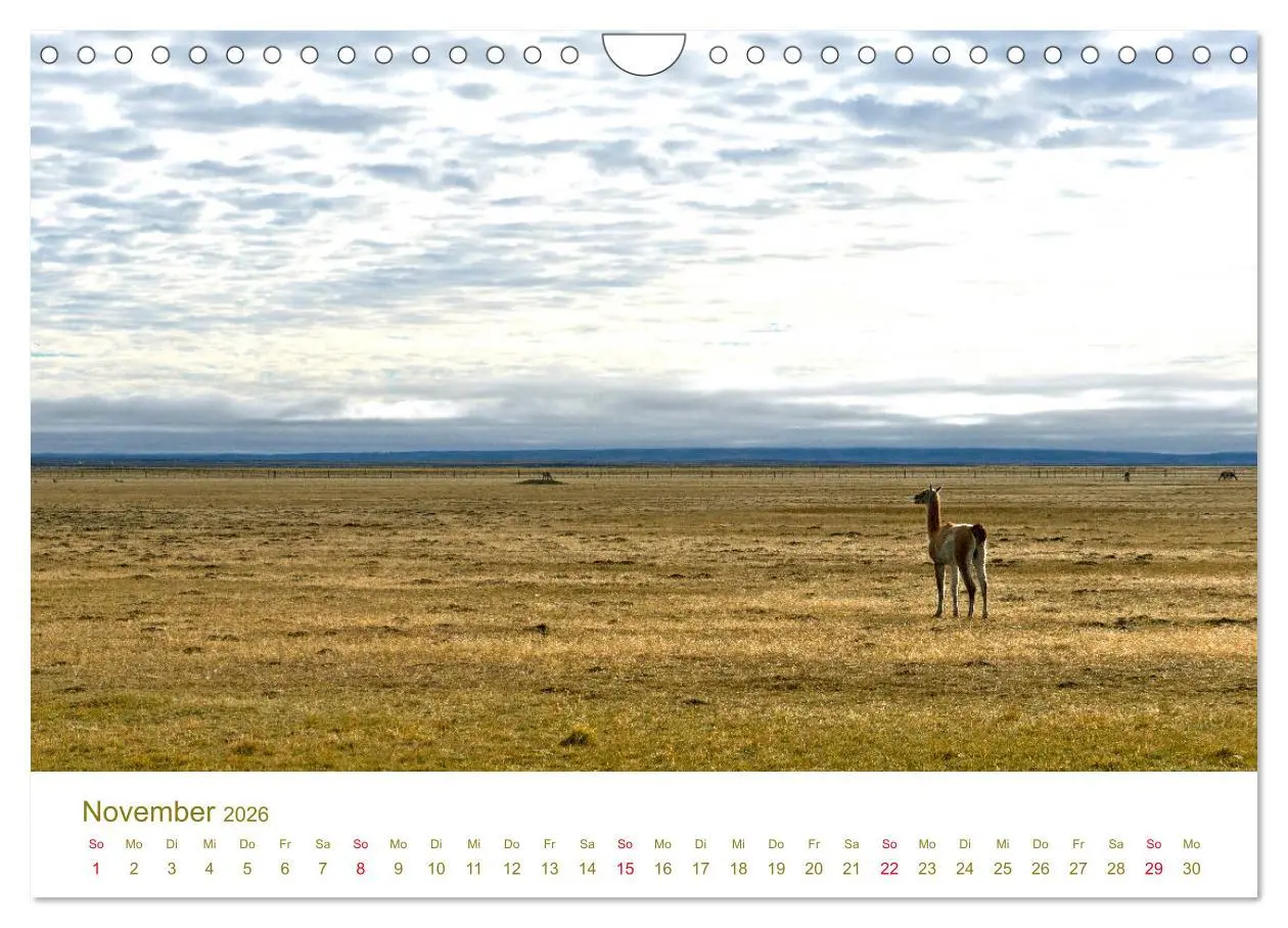 Bild: 9783457841129 | Weites Argentinien (Wandkalender 2026 DIN A4 quer), CALVENDO...