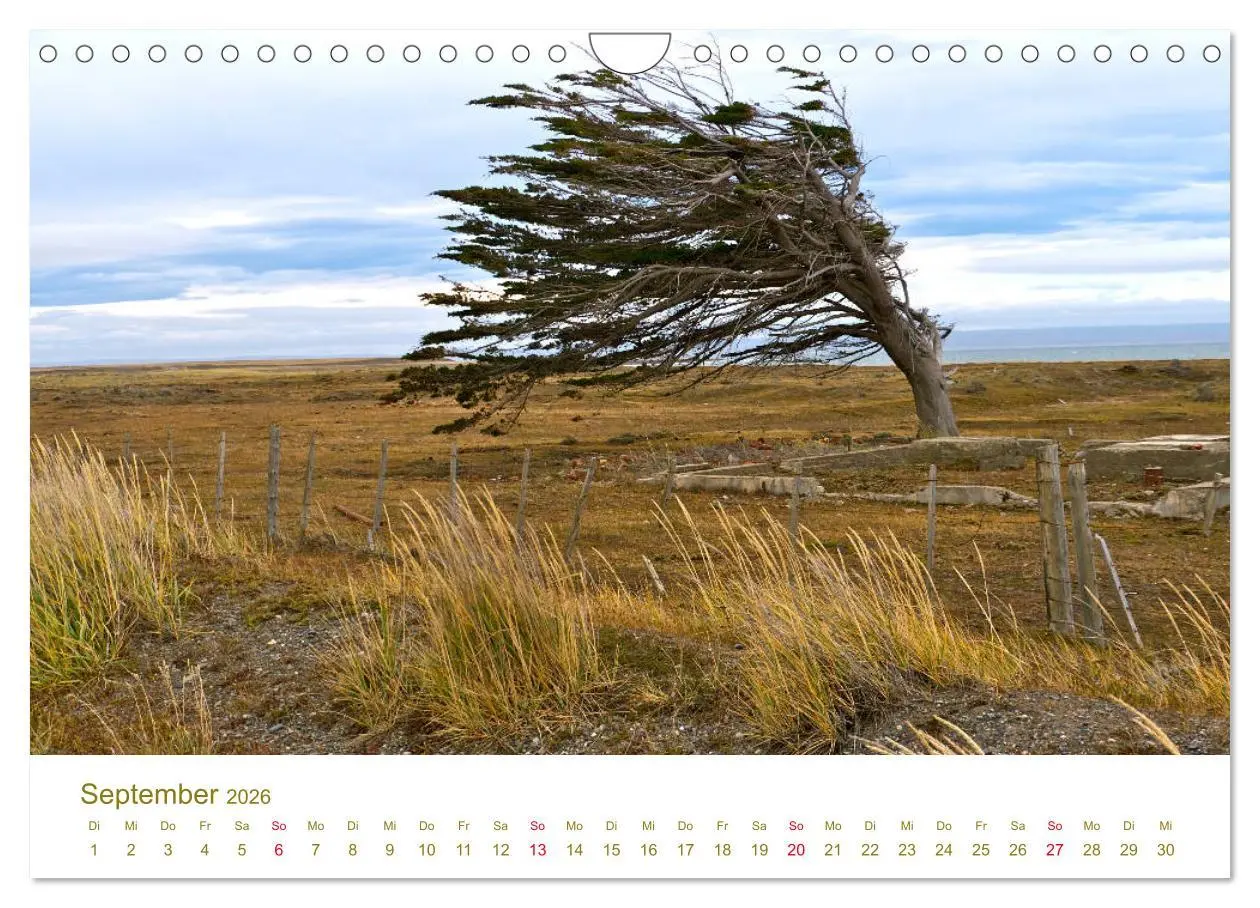 Bild: 9783457841129 | Weites Argentinien (Wandkalender 2026 DIN A4 quer), CALVENDO...
