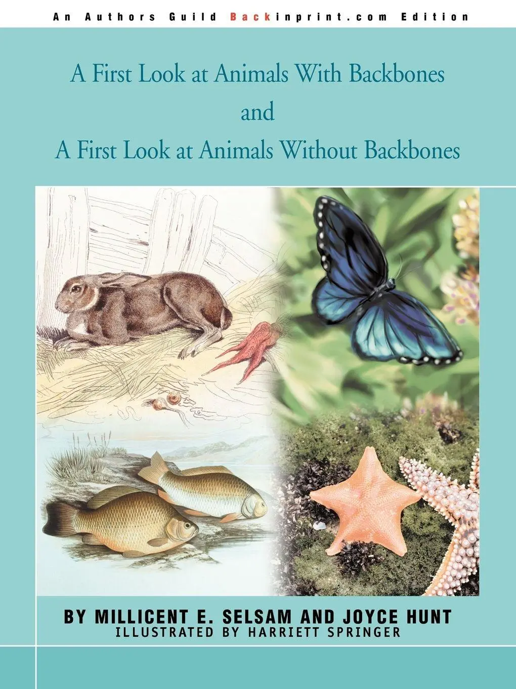 Cover: 9780595291229 | A First Look at Animals With Backbones and A First Look at Animals...