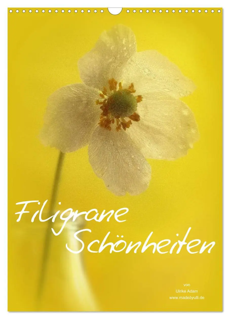 Cover: 9783516461329 | Filigrane Schönheiten 2026 (Wandkalender 2026 DIN A3 hoch),...