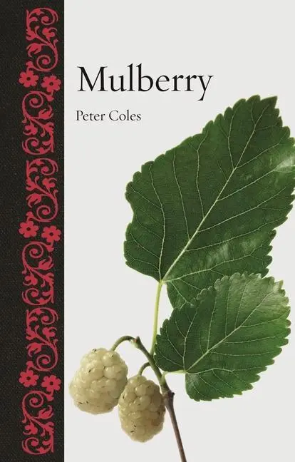 Cover: 9781789141429 | Mulberry | Peter Coles | Buch | Einband - fest (Hardcover) | Englisch