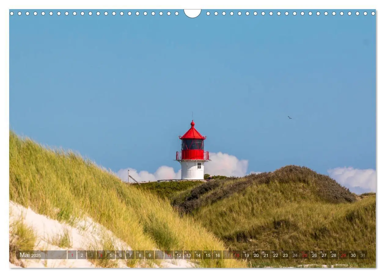 Bild: 9783435271429 | Amrum Insel am Wattenmeer (Wandkalender 2025 DIN A3 quer), CALVENDO...