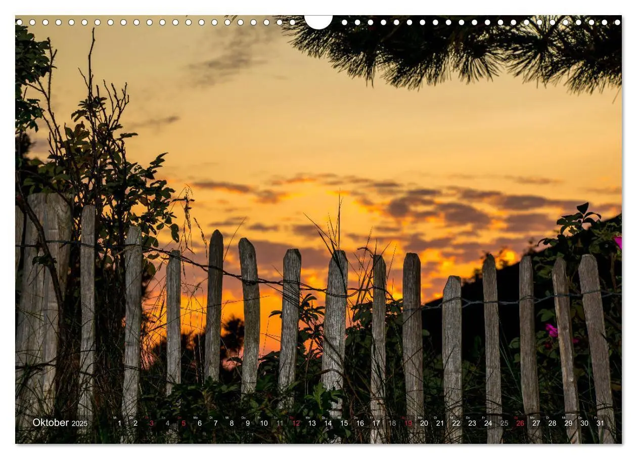 Bild: 9783435271429 | Amrum Insel am Wattenmeer (Wandkalender 2025 DIN A3 quer), CALVENDO...
