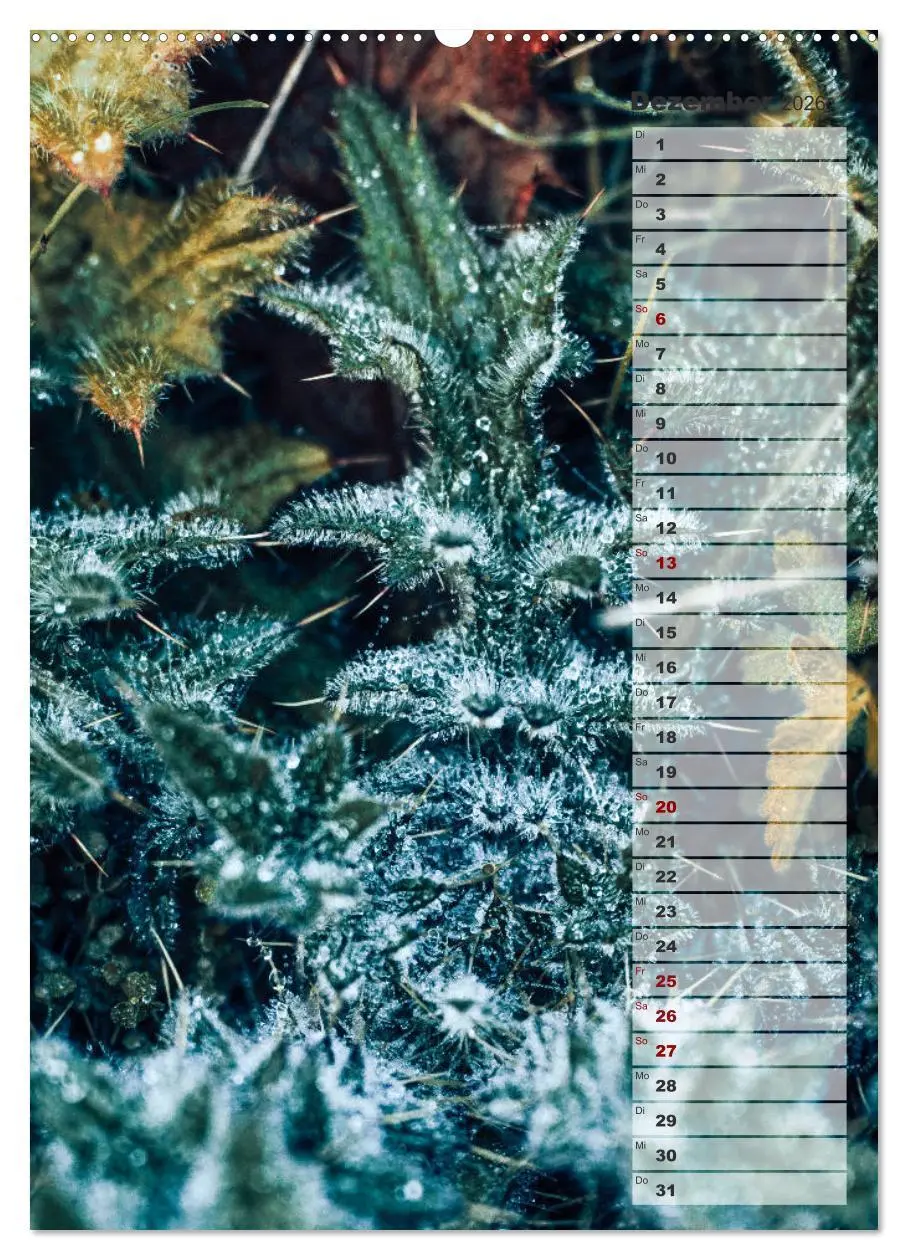 Bild: 9783516381429 | Kalender - Natur im Detail (hochwertiger Premium Wandkalender 2026...