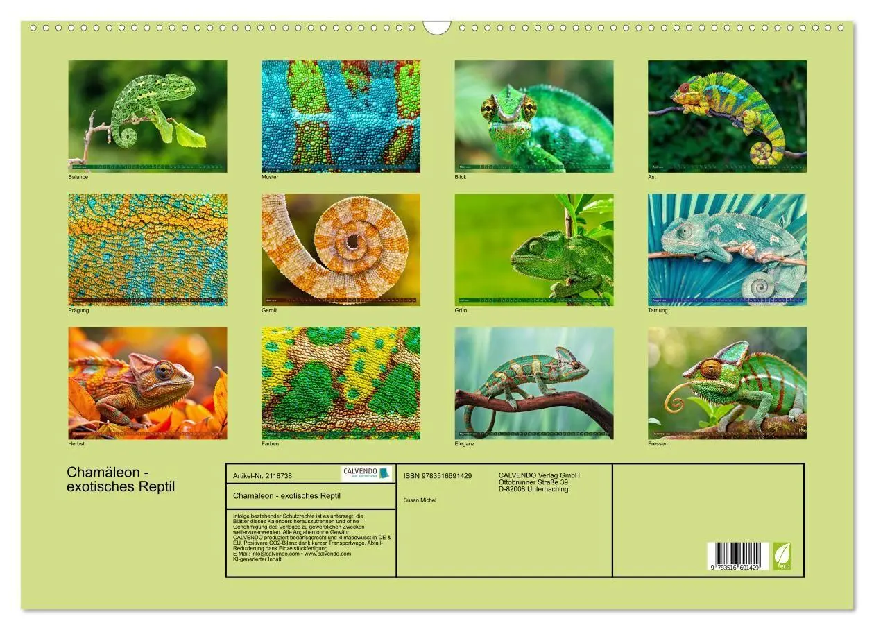 Bild: 9783516691429 | Chamäleon - exotisches Reptil (Wandkalender 2026 DIN A2 quer),...