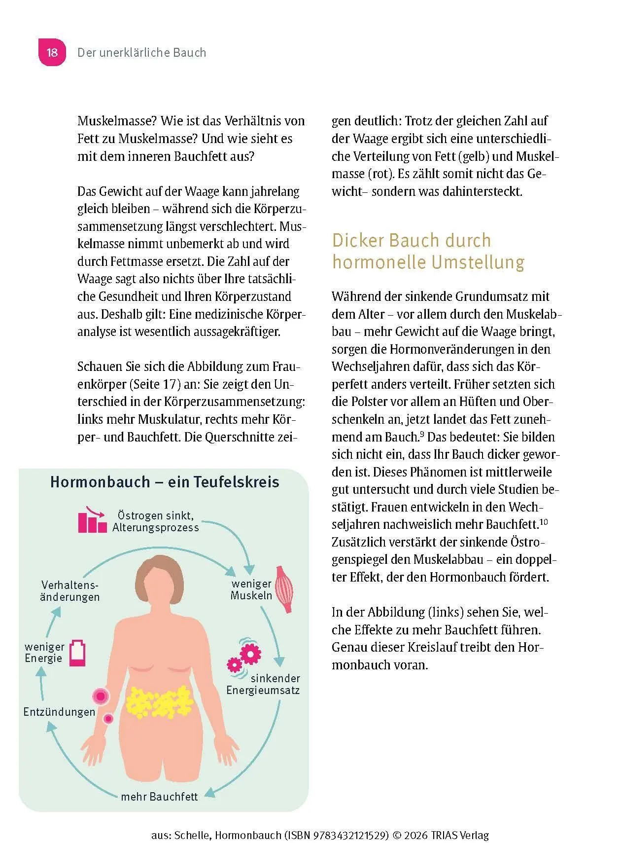 Bild: 9783432121529 | Hormonbauch | Viktoria Schelle | Taschenbuch | 180 S. | Deutsch | 2026