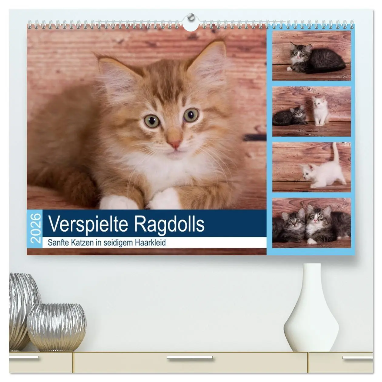 Cover: 9783457731529 | Verspielte Ragdolls -Sanfte Katzen in seidigem Haarkleid...